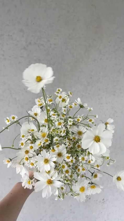 Small Daisy Flower Arrangements, Fever Few Bouquet, Daisy Wedding Theme Color Schemes, Daisies Wedding Bouquet, Daisy Bridesmaid Bouquet, Daisy Wedding Theme, Montauk Daisy, Daisy Bridal Bouquet, Daisy Flower Arrangements