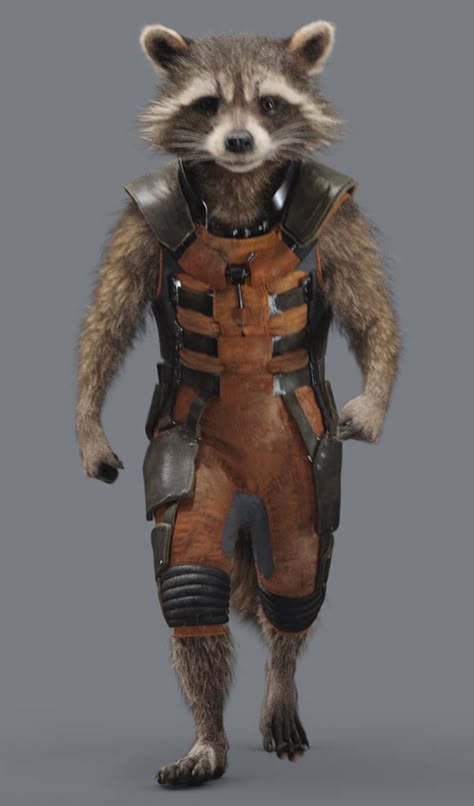 Rocket Raccoon Costume, Rocket Raccoon Cosplay, Rocket Racoon, Marvel Tattoos, Superhero Villains, Rocket Raccoon, Trash Panda, The Guardians, Racoon