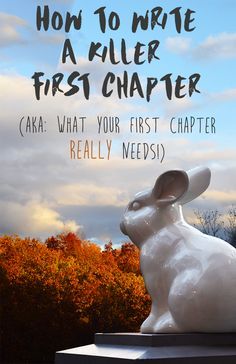 Untitled Writing The First Chapter, Writing First Chapter, How To Start The First Chapter Of A Book, How To Write A Good First Chapter, First Chapter Tips, Book First Lines, Book Publishing Logo, Writer Tips, Writers Notebook