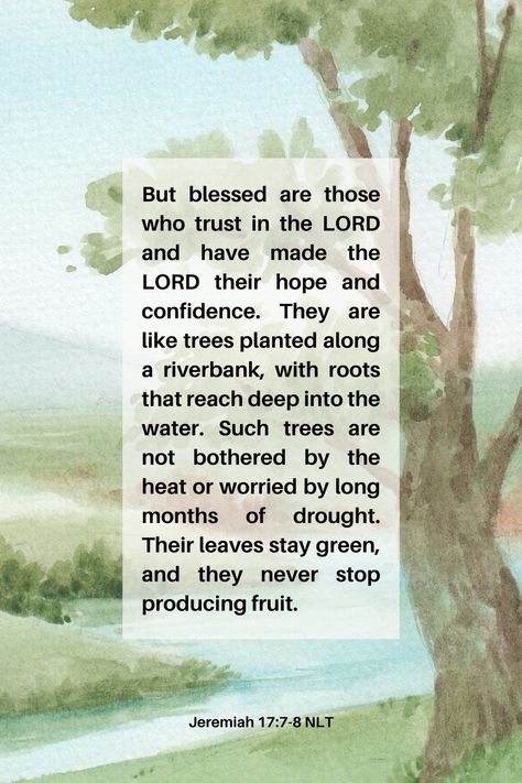 But blessed are those who trust in the LORD and have made the LORD their hope and confidence. They are like trees planted along a riverbank, with roots that reach deep into the water. Such trees are not bothered by the heat or worried by long months of drought. Their leaves stay green, and they never stop producing fruit.
Jeremiah 17:7-8 NLT
#christianinspiration #bible #scripture #verseoftheday ##biblequotes #faith #christianity #christianquote #faithquote Jeremiah 17 7-8, Jeremiah 7, Gospel Quotes, Throne Of Grace, To God Be The Glory, Blessed Are Those, Trust In The Lord, Into The Water, Bible Scripture