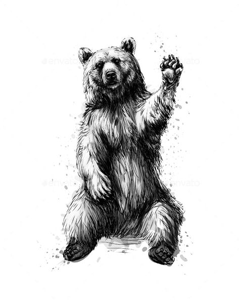 Bear Standing Tattoo, Sitting Bear Tattoo, Funny Bear Tattoo, Black Bear Tattoos For Men, Spirit Bear Tattoo, Cali Bear Tattoo, Watercolor Bear Tattoo, Fine Line Bear Tattoo, Bear Tattoo Stencil