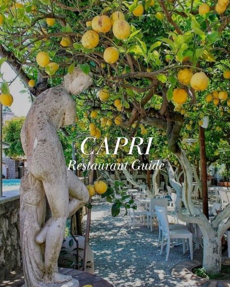 Cozy restaurant on capri with lemon trees and white tables Capri Lemon Restaurant, Restaurants In Capri Italy, Capri Things To Do, Weddings In Capri Italy, Best Restaurants In Capri Italy, Capri Italy Restaurant, Capri Beach Club, Capri Island Italy, Amalfi Restaurants