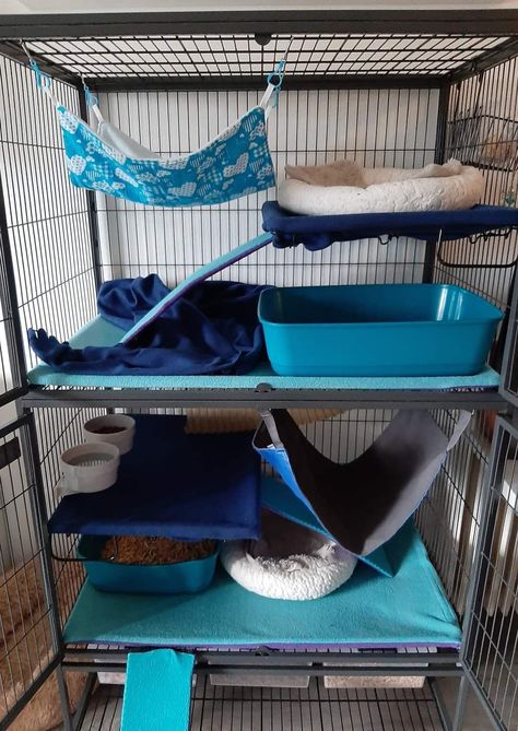 Ferret Cage Aesthetic, Ferret Cage Ideas Aesthetic, Ferret Stuff, Ferrets Care, Pet Room, Ferret Cage, Animal Cage, Rat Cage, Pet Ferret