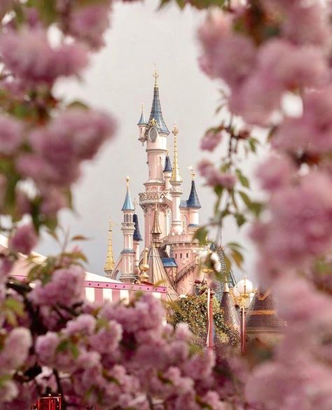 Beautiful- Disneyland Paris Disneyland Paris Aesthetic, Disneyland Castle, Disney World Pictures, Disney Paris, Paris Wallpaper, Wallpaper Disney, Disney Background, Cute Disney Pictures, Disney Collage