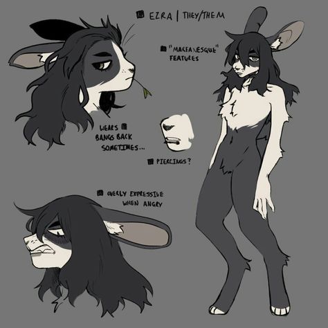 Bunny Anthro Character Design, Fursona Art Bunny, Male Bunny Oc, Rabbit Human Hybrid, Rabbit Legs Drawing, Jackalope Character, Bunny Oc Drawing, Bunny Fursona Ref Sheet, Human Rabbit Hybrid Drawing