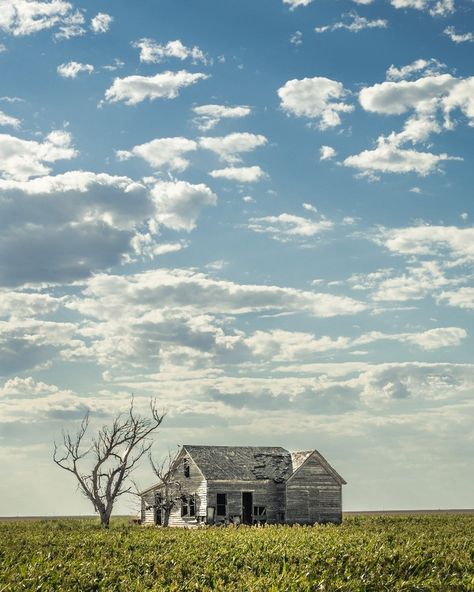 Gorgeous abandoned house in the middle of a field by the town of Guymon, Oklahoma. Personally, I wouldn't want to live so isolated. That… House In The Middle Of Nowhere, Guymon Oklahoma, House In Field, Abandoned Aesthetic, Isolated House, Midnight Walk, Creepy Houses, Abandoned House, Middle Of Nowhere