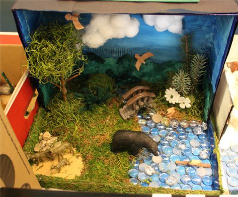 This fourth-grade biome project represents a deciduous forest, home to a variety of animals (including bears!). Wolf Diaroma, Wolf Habitat Diorama, Wolf Diorama Ideas, Wolf Diorama, Wolf Habitat, Deciduous Forest Biome, Ecosystems Diorama, Shoebox Diorama, Biome Project