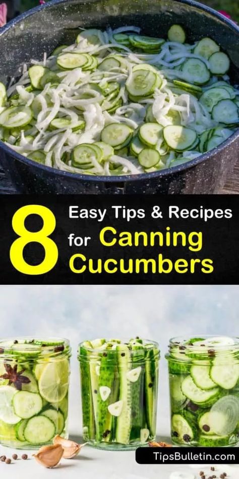 Canning Cucumbers Easy, Canning Cucumbers, Preserving Cucumbers, Canning Pickles Recipe, Canning Veggies, Recipes For Canning, Garden Canning, Pickling Cucumbers Recipe, Make Pickles