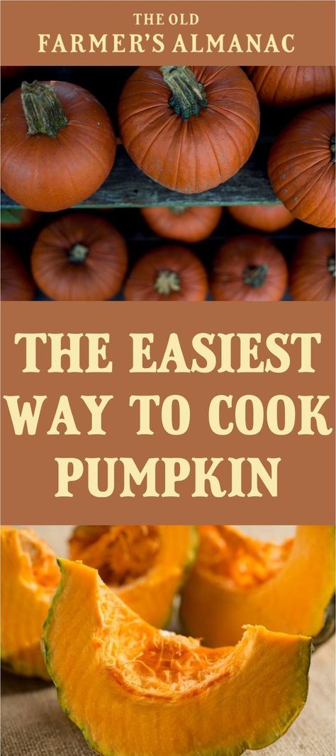 How to Cook a Pumpkin How Do You Cook Fresh Pumpkin, How To Roast Pie Pumpkins, How To Cook Down A Pumpkin, How To Cook With Pumpkin, How To Cook Pie Pumpkins, How To Cook A Pumpkin For Pie, Pie Pumpkins How To Cook, How To Cook A Pie Pumpkin, How To Cook Fresh Pumpkin