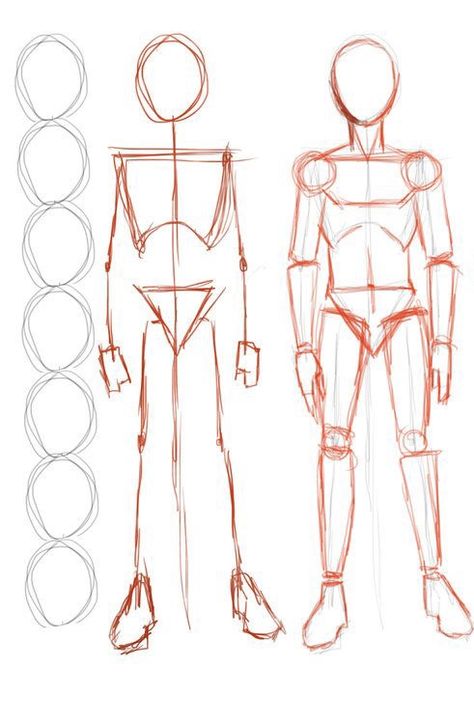 Basic Human Figure Drawing, Torso Tutorial, Torso Anatomy Reference, Body Base Tutorial, Anatomy Drawing Reference, Torso Sketch Tutorial, How To Sketch Bodies, Torso Drawing, Torso Anatomy