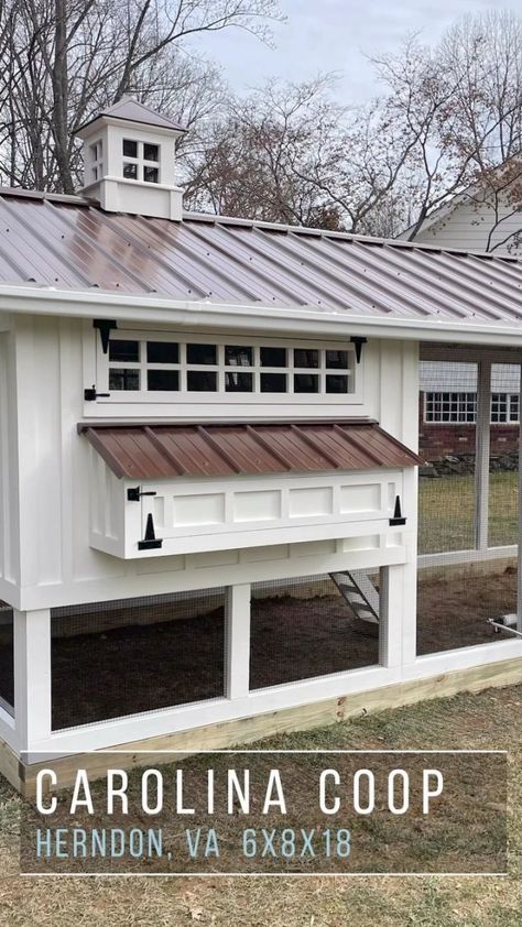 Chicken Coop Siding, Residential Metal Roofing, Brown Roof, Clapboard Siding, Hardware Cloth, Lap Siding, Dutch Door, Rain Barrel, Small Yard