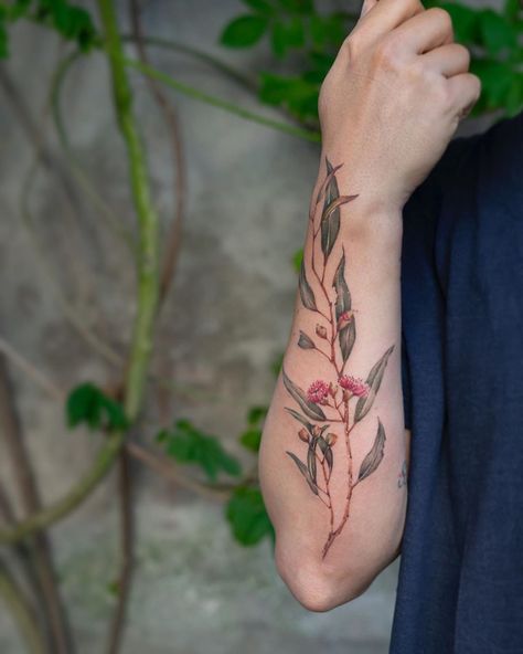 Cindy Vanschie flowering gum tree branch Tattoo Gum Tree Tattoo, Tree Branch Tattoo, Australian Tattoo, Leaves Tattoo, Mystical Tattoos, Gum Leaves, Native Tattoos, Branch Tattoo, Feather Tattoo Design