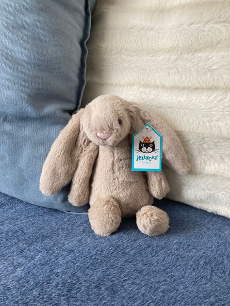 Small Jellycat, Jellycat Wishlist, Bunny Jellycat, Jellycat Aesthetic, Small Bunny, Jellycat Bunny, Jelly Cat, Jellycat Stuffed Animals, Grey Bunny