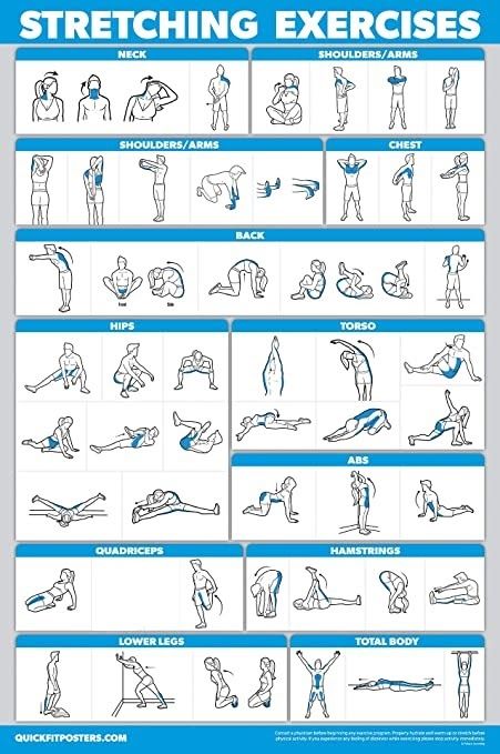 Exercise Poster, Stretch Routine, Gym Workout Chart, Exercise Chart, Workout Posters, Trening Fitness, Workout Chart, Body Workout Plan, Formda Kal