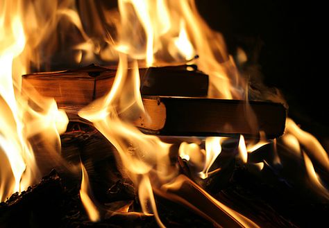 "Wherever they burn books they will also, in the end, burn human beings."  Heinrich Heine Book Burning, Markus Zusak, Youre Doing It Wrong, Fahrenheit 451, The Book Thief, Book Trailer, Ray Bradbury, New Earth, Alternative Health