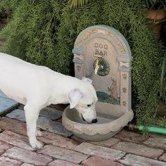 Outdoor Dog Area, Dog Fountain, Dog Backyard, Dog Water Fountain, Dog Spaces, Dog Hotel, Dog Yard, Dog Cafe, Dog Area