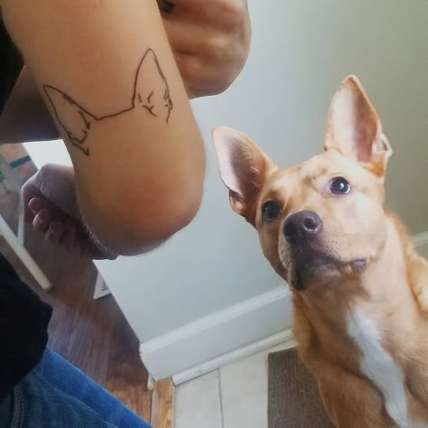 Golden Doodle Ears Tattoo, Dog Tattoo Placement, German Shepherd Dog Ear Outline Tattoo, German Shepherd Dog Ear Tattoo, Dog Tattoo Ideas Minimalist German Shepherd, Dingo Tattoo, German Shepherd Ears Tattoo, Dog Ear Tattoo Placement, Tattoo German Shepherd Dog Line Art