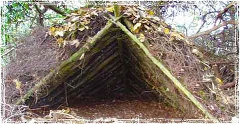 6 wilderness survival shelters... For fun, or for survival! #camping #outdoors #camping #survival Wilderness Survival Shelter, Survival Shelter, Survival Techniques, Wilderness Survival, Survival Food, Camping Survival, Survival Prepping, Outdoor Survival, Survival Guide