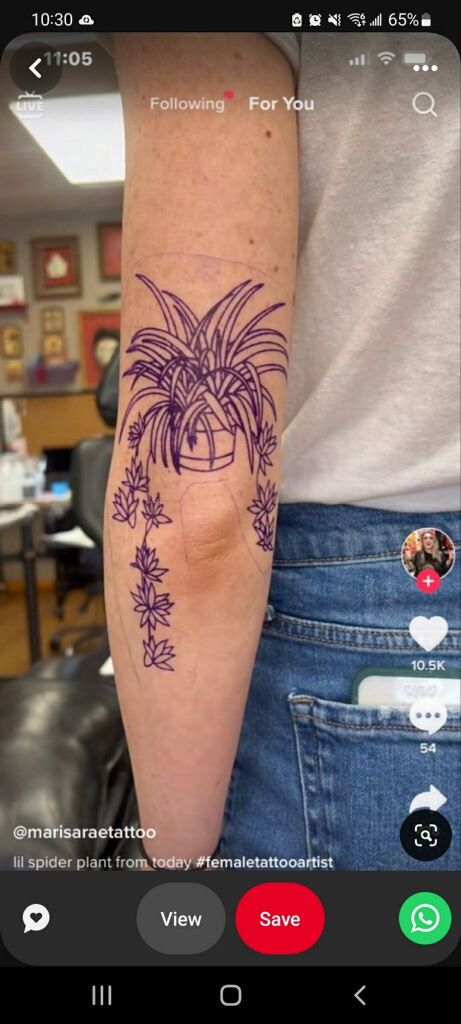 Spider Plant Tattoo, Creative Tattoos For Women, Hanging Spider Plant, Hanging Spider, Photowall Ideas, Tattoo Plant, Handpoke Tattoo, Spider Plant, Plant Tattoo