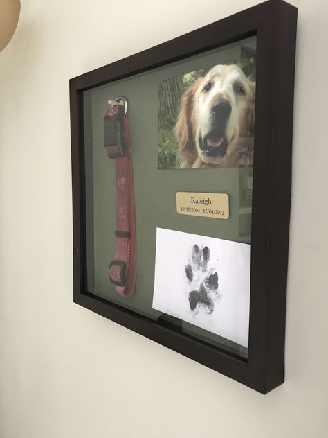 Dog frame. Collar framed from dog. Pawprint in shadow box. Dog Gift Ideas Diy, Pet Memorial Diy, Pet Memorial Ideas Dogs, Pet Portrait Tattoos, Dog Frame, Dog Shadow Box, Paw Print Art, Dog Gift Ideas, Dead Animals