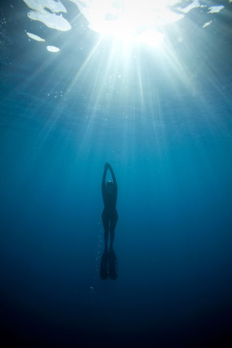 Ann Luskey free-diving near Cocos Island Diving Pictures, Photography Underwater, Skin Diving, Swimmers Life, Cocos Island, Deep Diving, Underwater Art, Free Diving, Water Adventure