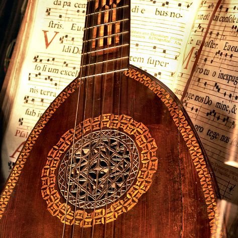 Lute Aesthetic, Lute Instrument, Tiefling Bard, Bard College, Yennefer Of Vengerberg, Targaryen Aesthetic, High Elf, Interesting Photos, 4 Seasons