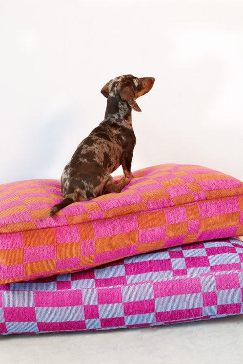 Embrace your pet's unique personality with our bold and colorful accessories. Shop now at dogguo.com 🧡 Pet Brand, Orange Bedding, Decor Shopping, Pretty Dogs, Blue Bedding, Blue Raspberry, Block Pattern, Pet Bottle, Dog Beds