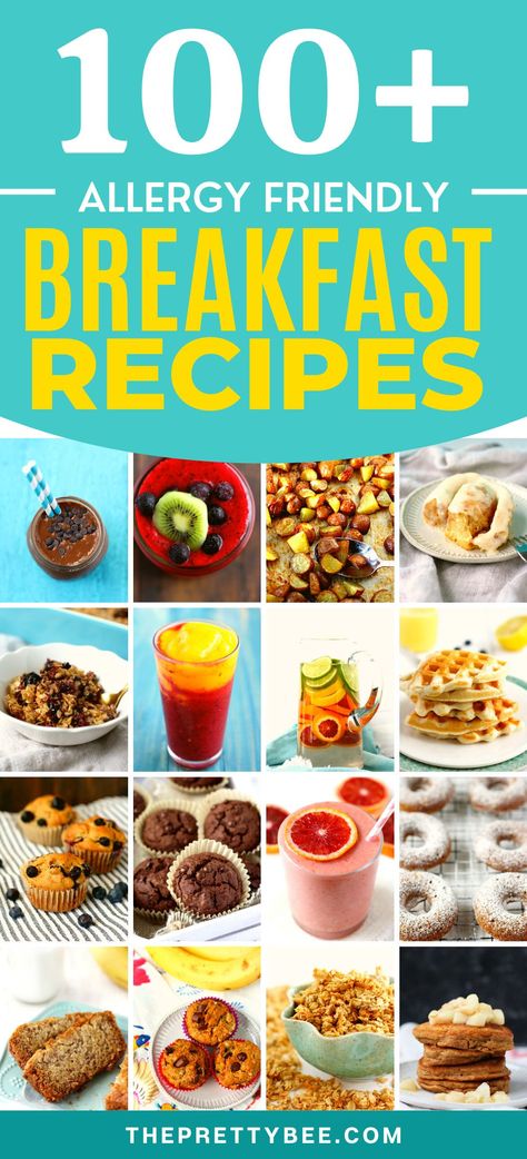 So many delicious breakfast recipes to try! These allergy friendly recipes will have you hopping out of bed in the morning! These are easy, delicious, and perfect for busy mornings. Egg Free Breakfast Recipes, Allergy Friendly Breakfast, Nut Free Breakfast, Peanut Free Desserts, Egg Free Breakfast, Dairy Free Recipe, Nut Free Recipes, Gluten Free Egg Free, Egg Free Recipes