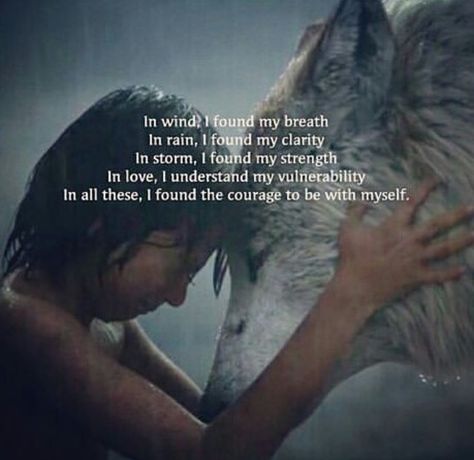 Lone Wolf Quotes, Free Spirit Quotes, Wolf Quotes, Spirit Quotes, She Wolf, A Wolf, Beauty Quotes, Deep Thought Quotes, Wise Quotes