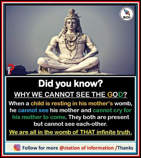 Psychological Facts Interesting, Interesting Science Facts, Ancient History Facts, Indian History Facts, True Interesting Facts, Sanatan Dharma, Interesting Facts About World, Cool Science Facts, Amazing Science Facts