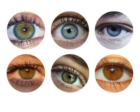 what is my seasonal color palette – the only quiz you need - Our Fashion Garden Fair Skin Color Palette, Summer Eye Patterns, Summer Eye Pattern Color Analysis, Spring Eye Pattern Color Analysis, Soft Summer Eye Color, Seasonal Color Analysis Eyes, Eye Color Season Analysis, Soft Autumn Color Palette Makeup, Eye Pattern Color Analysis