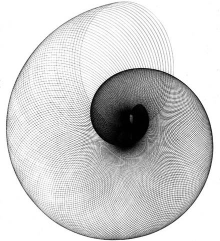 The golden ratio... It's the reason you find this picture beautiful. This is God's thumbprint. Poster Grafico, Fibonacci Sequence, Fibonacci Spiral, The Golden Ratio, Computer Art, Geometry Art, Golden Ratio, White Photo, Op Art