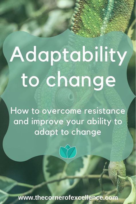 Do you adapt well to changes? Does it depend on the type of change? Find out about resistance to change and the process of adaptation to change. Learn how to improve your adaptability to change. #change #adaptability #resistance #adapttochange #changeprocess #softskills #fear #changemanagement #flexibility #resilience #fluidintelligence Pinterest Growth, 21st Century Skills, Embracing Change, Soft Skills, Support Group, Work Ideas, Life Advice, Self Care Routine, Self Improvement Tips