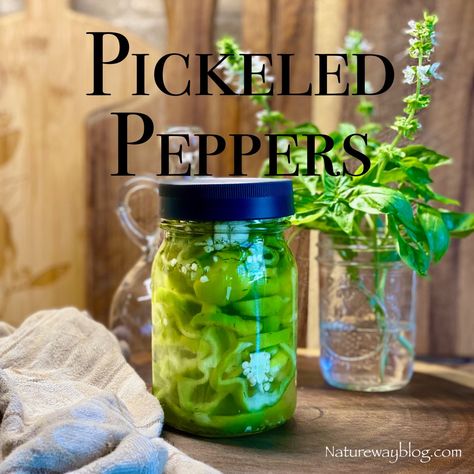 Pick-a-Pack of Pickled Peppers; How To Pickle Fresh Peppers - Nature Way Pickling Peppers, How To Pickle Peppers, Basic Brine, Green Pepper Recipes, Pickled Peppers, Canning Supplies, Pickling Spice, Refrigerator Pickles, Green Peppers