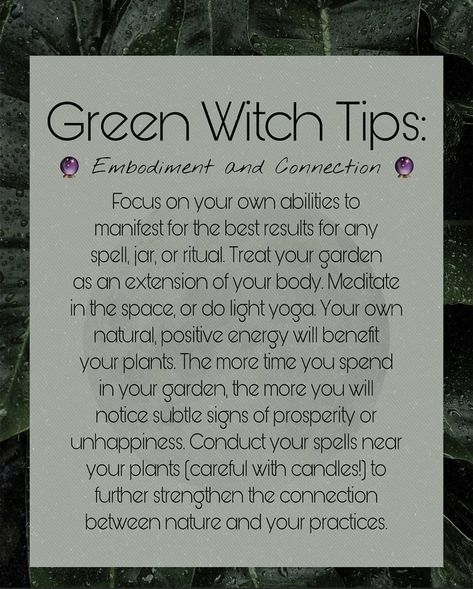 Magickal Tips, Witch Tips, Witch Quotes, Drawing Ideas List, Witch Spirituality, Witchy Woman, Green Witch, Advice Quotes, Witchy Vibes