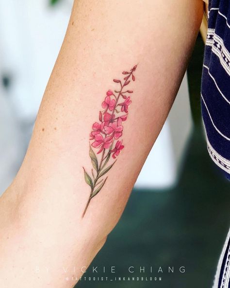 Vickie Chiang on Instagram: “Alaska Fireweed flower for Hannah’s first tattoo 💕#fireweed #inked #tattoo #tattoos #watercolortattoo #colortattoo #floraltattoo…” Fireweed Flower Tattoo, Alaskan Flower Tattoo, Fireweed Tattoo Black, Alaska State Flower Tattoo, Alaska Fireweed Tattoo, Fireweed Drawing, Fireweed Tattoo, Fireweed Flower, Alaska Fireweed