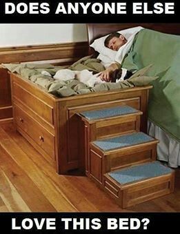 People & Pets Bed Diy Dog Beds, Bed Extension, Pet Bed Furniture, Diy Pet Bed, Indoor Dog House, Build A Dog House, Diy Dog Crate, High Bed, Elevated Dog Bed