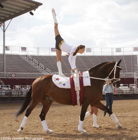 Wild Horse Videos, Horse Gymnastics, Vaulting Horses, Equestrian Vaulting, Vaulting Equestrian, Horse Vaulting, Horsey Life, Chopova Lowena, Trick Riding