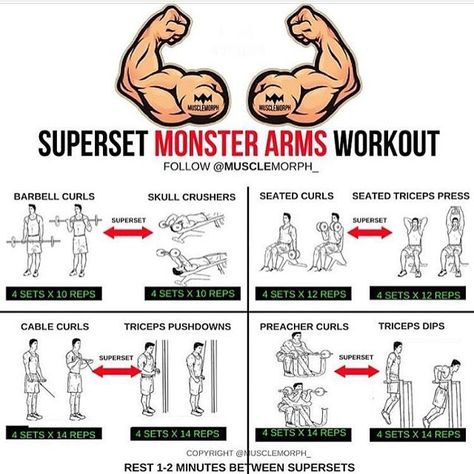 Want BIGGER Arms? Try this workout LIKE/SAVE IT if you found this useful. FOLLOW @musclemorph_ for more exercise & nutrition tips  . *A Superset is when you do two exercises back to back with no rest between them. The goal here is not to move heavy weights; you'll use lighter weights than normal to hit target rep ranges . TAG A GYM BUDDY . ✳Enhance your progress with @musclemorph_ Supplements ➡MuscleMorphSupps.com #MuscleMorph Exercises Back, Arm Workout Men, Big Biceps Workout, Workouts For Men, Arm Training, Bicep And Tricep Workout, Arm Workouts, Bigger Arms, Fitness Routines