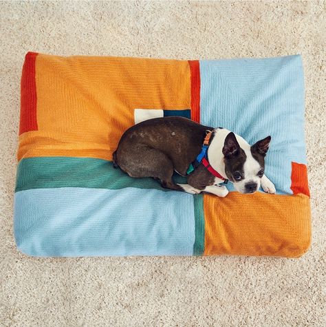 20 Modern Dog Beds You’ll Actually Want to Have on Display - Dwell Cute Dog Beds, Dog Bed Modern, Diy Dog Bed, Cool Dog Beds, Dog Branding, Modern Dog, Dog Sweaters, Animal Jokes, Cute Animal Drawings