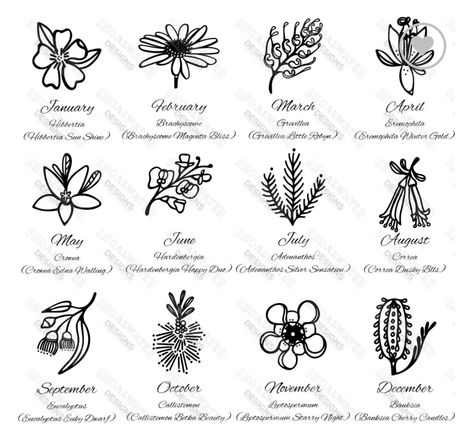 Australian Flower Tattoo, Native Flower Tattoo, October Birth Flower, Coin Frame, October Birth Flowers, Jo Wilson, The Language Of Flowers, Australian Flowers, Australian Native Flowers