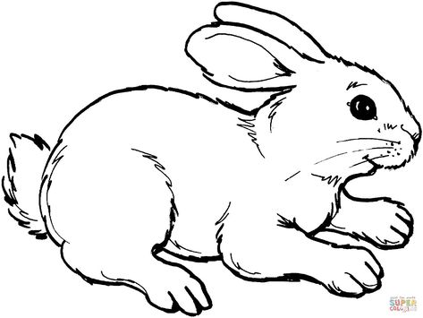 22+ Beautiful Image of Rabbit Coloring Pages - davemelillo.com Bunny Drawings, Easter Bunny Colouring, Rabbit Clipart, Rabbit Pictures, Easy Animal Drawings, Rabbit Colors, Rabbit Drawing, Animal Templates, Farm Animal Coloring Pages