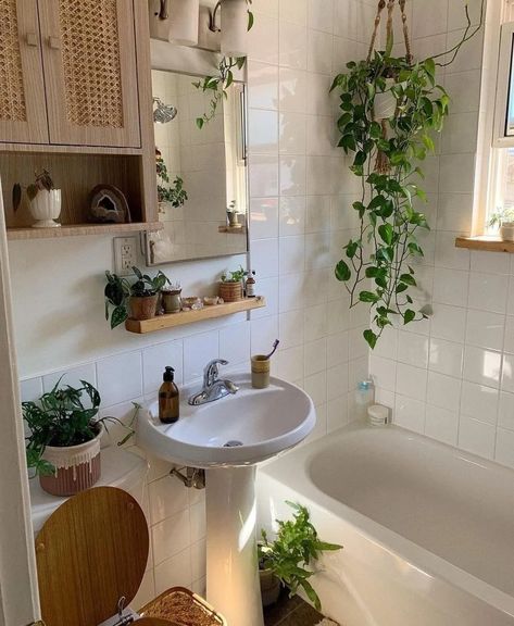 Small Cozy Apartment Bathroom, Cozy Boho Bathroom, Bathroom Ideas Rental, Bathroom Ideas No Window, Cosy Bathroom Ideas, First House Aesthetic, Earthy Bathroom Ideas, Small Cozy Apartment, Bathroom Plants Decor