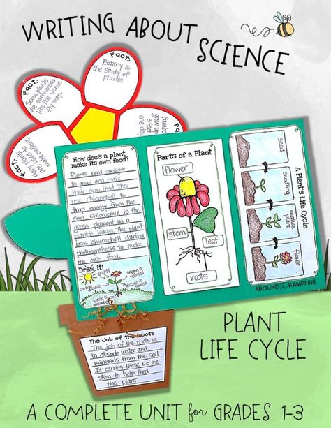 Plant life cycle activities-Writing to define, label, research, and explain. Part of a complete science unit for teaching the plant life cycle for 1st, 2nd, and 3rd grade. Plant Unit Kindergarten, Plant Lap Book, Plants Life Cycle Activities, Plants Science, Plant Lessons, Kindergarten Units, Second Grade Science, Life Cycles Activities, Plants Unit