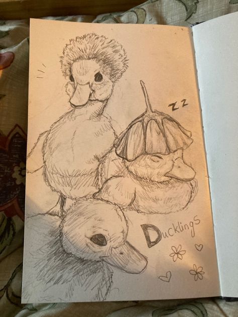 Cute Aesthetics Drawings, Scary Duck Drawing, Art Project Ideas College, Cute Aesthetic Animal Drawings, Drawing Ideas Shading Sketch, Sleepy Animal Drawing, Spring Things To Draw, Creative Inspo Art, A Duck Drawing