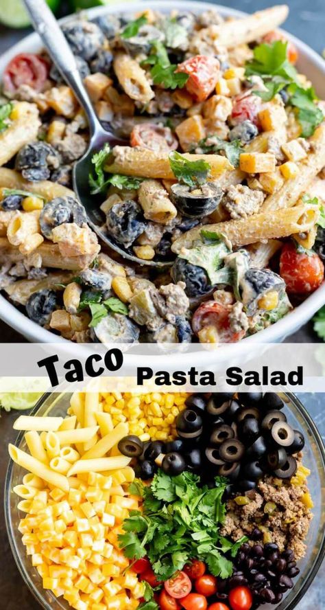 This Taco Pasta Salad Recipe is just in time for those summer barbecues. A cold pasta salad side dish with a fun taco twist will be a hit! #pastasaladrecipe #tacopastasalad #summerrecipes #sidedishrecipes Taco Twist, Taco Pasta Salad, Cold Pasta Salad Recipes, Taco Pasta, Cold Pasta Salad, Salad Pasta, Cold Pasta, Pasta Salad Recipe, Pasta Salads