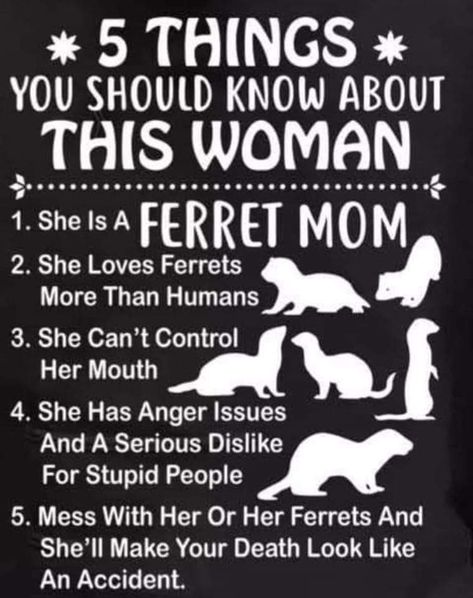 Ferret Names Ideas, Ferret Quotes, Ferret Names, Funny Ferrets, Cats Pictures, Names Ideas, Silly Cats Pictures, Anger Issues, Silly Cats