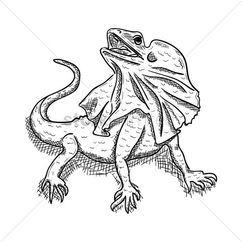 Reptile Drawing, Lizard Drawing, Frilled Lizard, Animal Outline, Kids Painting Crafts, Polaroid Template, Tattoo Outline, Outline Drawings, Dinosaur Kids