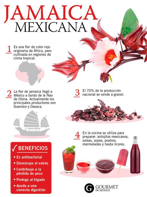 La jamaica en una flor muy valorada por sus propiedades diuréticas, se puede consumir seca o fresca. La flor de jamaica se recolecta durante la temporada de calor descubre más sobre los beneficios de la jamaica aquí. Mexico Food, Latin Food, Mexican Culture, Diy Skin Care, Diy Skin, Food Culture, Health And Beauty Tips, Medicinal Plants, Natural Medicine