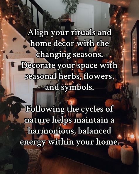 A few tips for the budding hearth witch ✨ Or anyone who wants to add a little magic to their life 😉 Hearth Witch Spells, Hearth Witch Aesthetic, Hearth Magic, Witchy Home Aesthetic, Hearth Witch, Feminine Era, Witch Life, Forest Magic, Witch Stuff